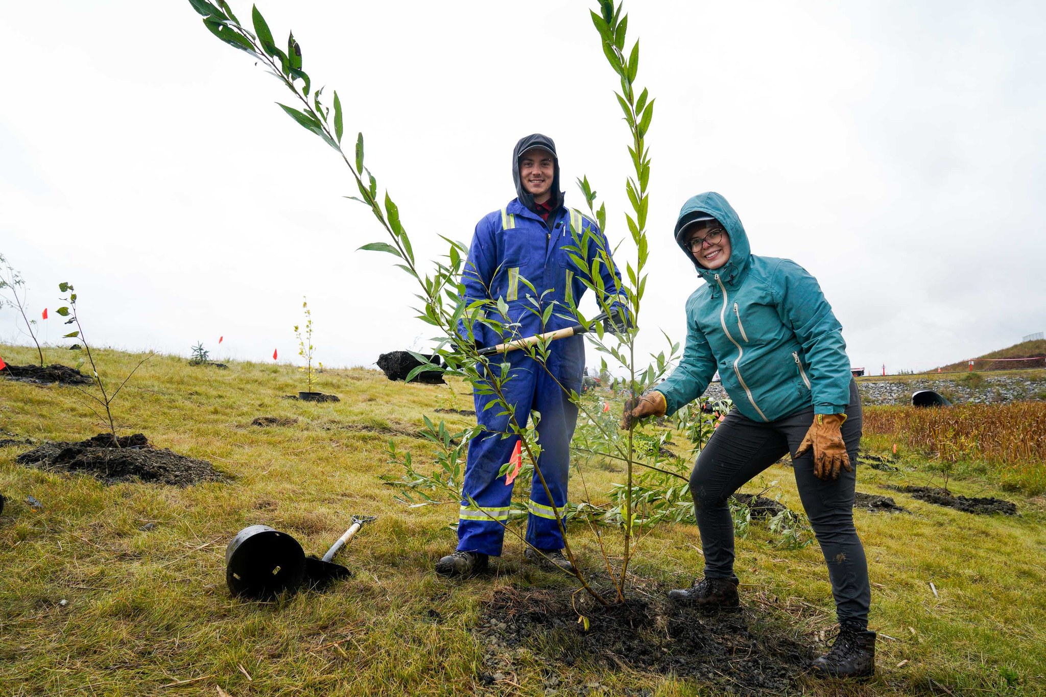 Enfinite Tree Planting